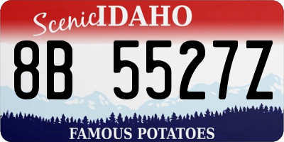 ID license plate 8B5527Z