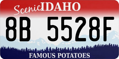ID license plate 8B5528F