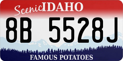 ID license plate 8B5528J