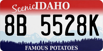 ID license plate 8B5528K