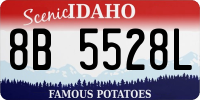 ID license plate 8B5528L