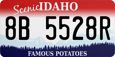 ID license plate 8B5528R