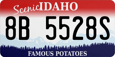 ID license plate 8B5528S