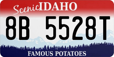 ID license plate 8B5528T