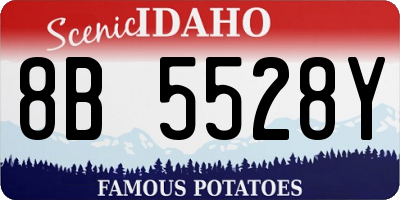 ID license plate 8B5528Y