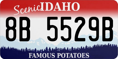 ID license plate 8B5529B