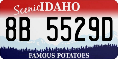 ID license plate 8B5529D