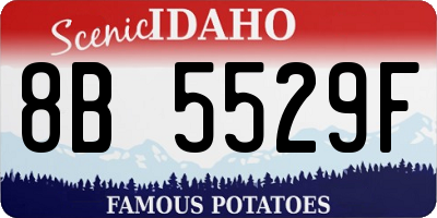 ID license plate 8B5529F