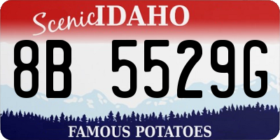 ID license plate 8B5529G