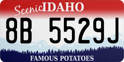ID license plate 8B5529J