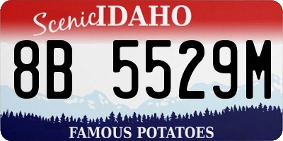 ID license plate 8B5529M