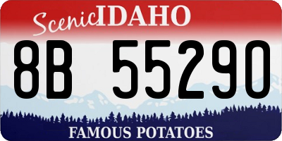 ID license plate 8B5529O