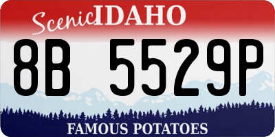 ID license plate 8B5529P
