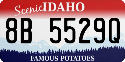 ID license plate 8B5529Q