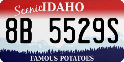 ID license plate 8B5529S