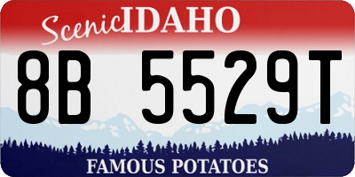 ID license plate 8B5529T