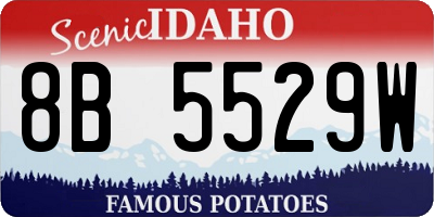 ID license plate 8B5529W