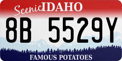 ID license plate 8B5529Y