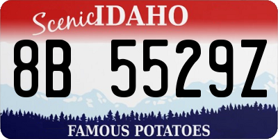 ID license plate 8B5529Z