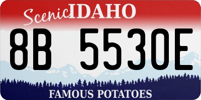 ID license plate 8B5530E