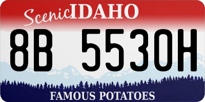 ID license plate 8B5530H