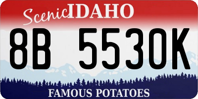 ID license plate 8B5530K