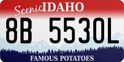 ID license plate 8B5530L