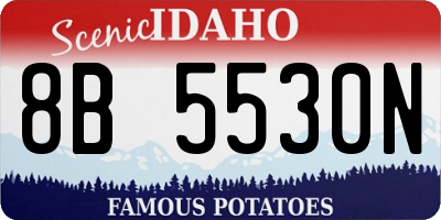 ID license plate 8B5530N