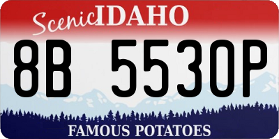 ID license plate 8B5530P
