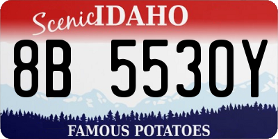 ID license plate 8B5530Y