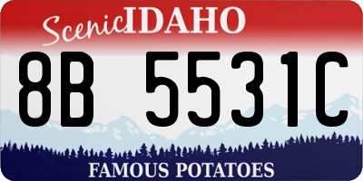 ID license plate 8B5531C
