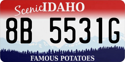 ID license plate 8B5531G