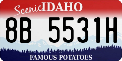 ID license plate 8B5531H