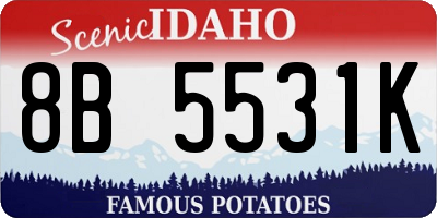 ID license plate 8B5531K