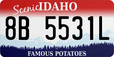 ID license plate 8B5531L