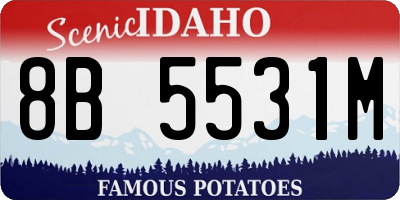 ID license plate 8B5531M