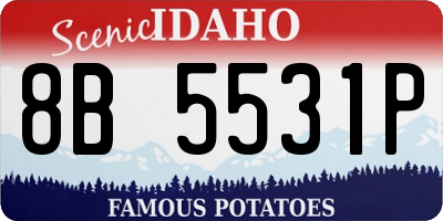 ID license plate 8B5531P