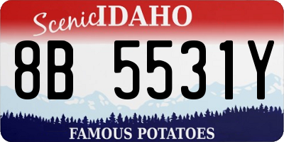 ID license plate 8B5531Y
