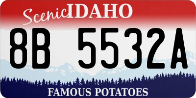 ID license plate 8B5532A