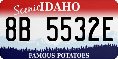 ID license plate 8B5532E