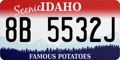 ID license plate 8B5532J