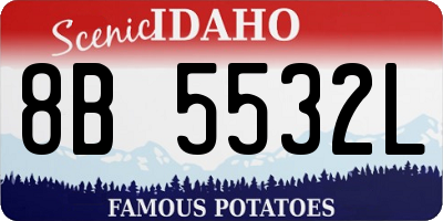 ID license plate 8B5532L