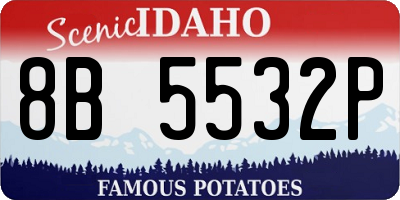 ID license plate 8B5532P