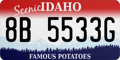 ID license plate 8B5533G