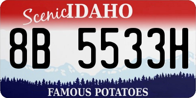 ID license plate 8B5533H