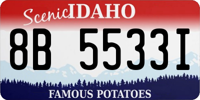 ID license plate 8B5533I