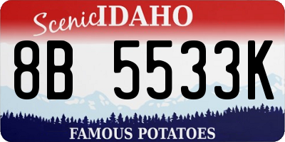 ID license plate 8B5533K