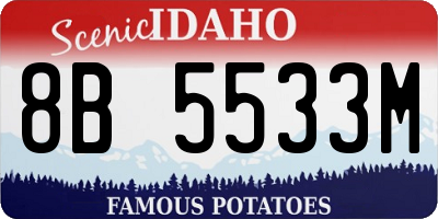 ID license plate 8B5533M