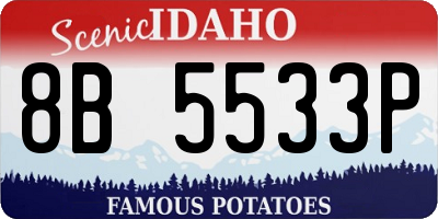 ID license plate 8B5533P