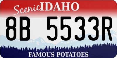 ID license plate 8B5533R